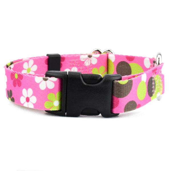 Daisy Dot Dog Collar – EarthStyle