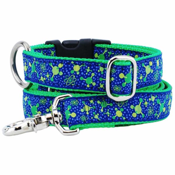 1″ Molecular Ribbon Dog Leash