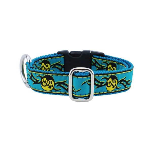 1″ Paw Yang Teal Essential Buckle Martingale Dog Collar