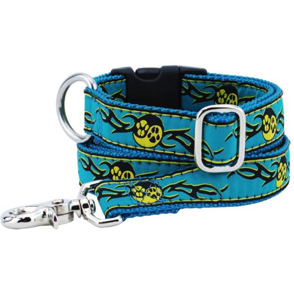 1″ Paw Yang Teal Essential Buckle Martingale Dog Collar