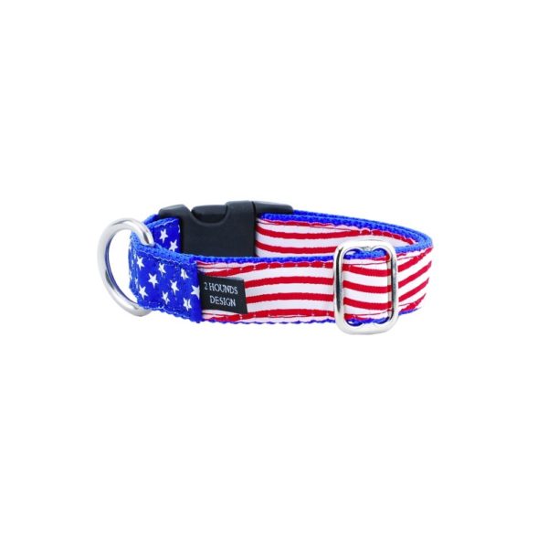 1″ Stars and Stripes Essential Dog Collar