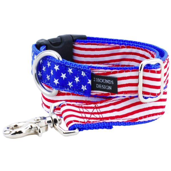 1″ Stars and Stripes Ribbon Dog Leash