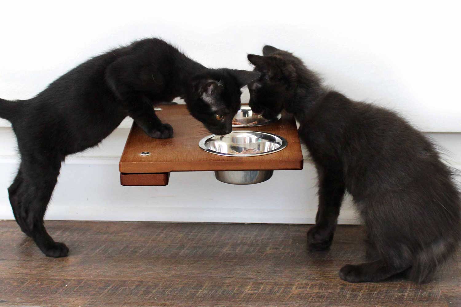 Wall Mounted Cat Feeding Shelf by Catastrophic Creations