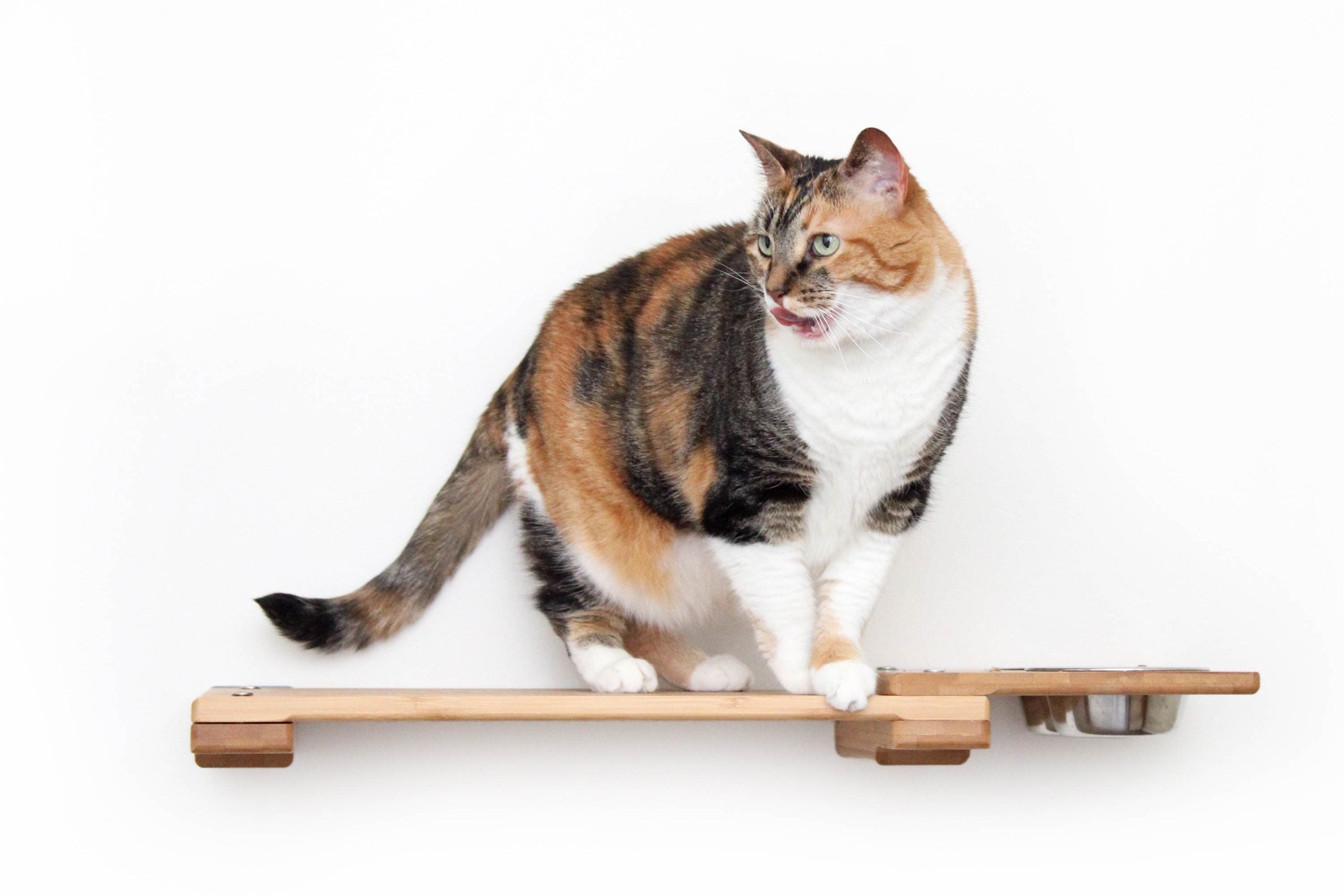 Wall-Mounted Cat Feeding Shelf - by Catastrophic Creations