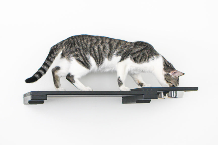 Wall-Mounted Cat Feeding Shelf - by Catastrophic Creations