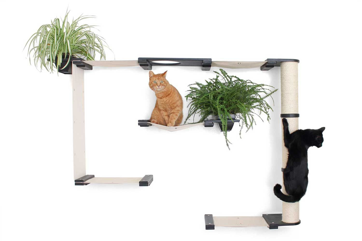 The Gardens Cat Condo (Wall-Mounted Cat Tree) - by Catastrophic Creations