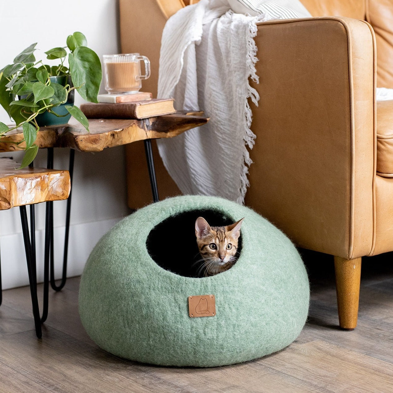 Eucalyptus Green | Round Style Cave