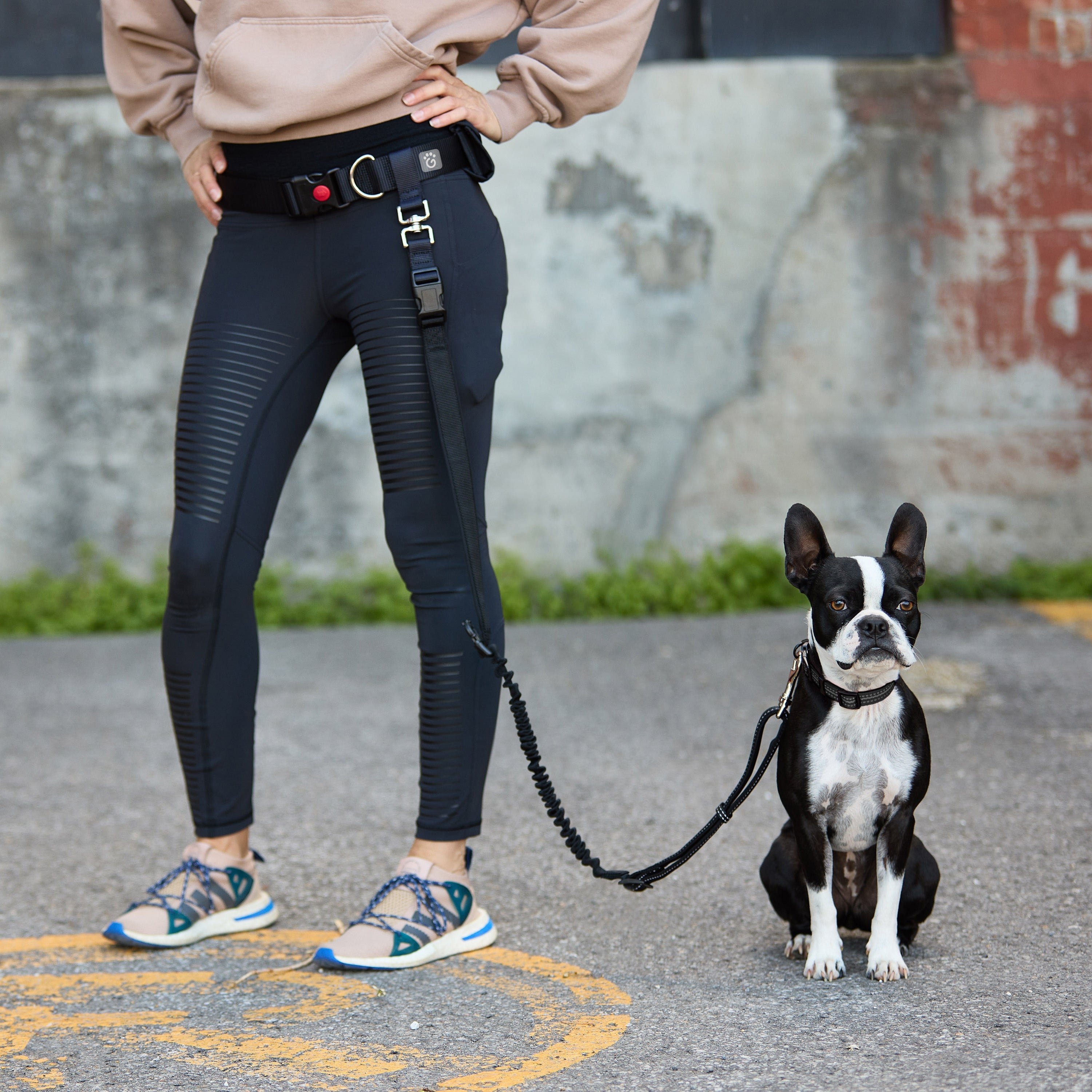 Waist fashion dog leash