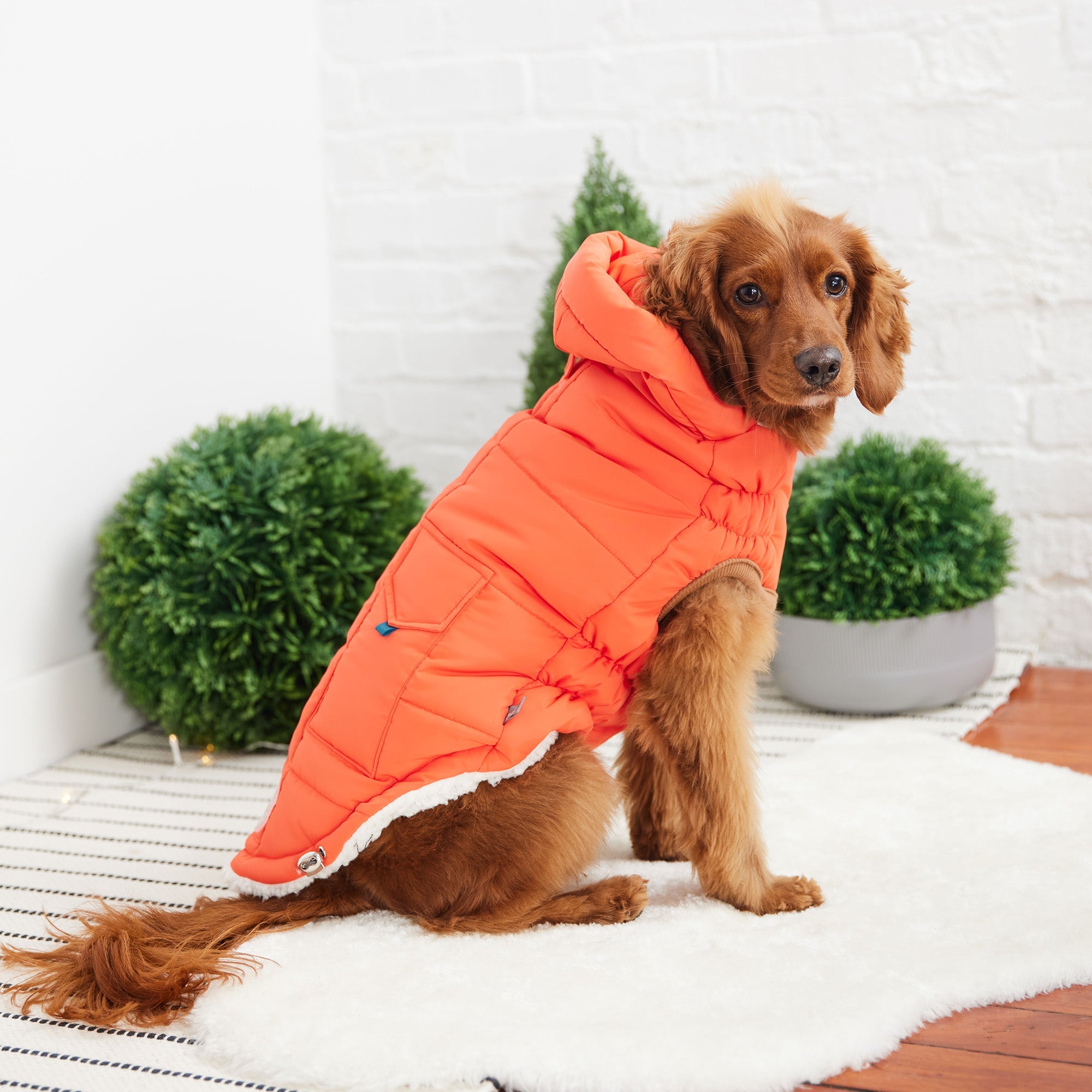 The Puff Parka - Orange