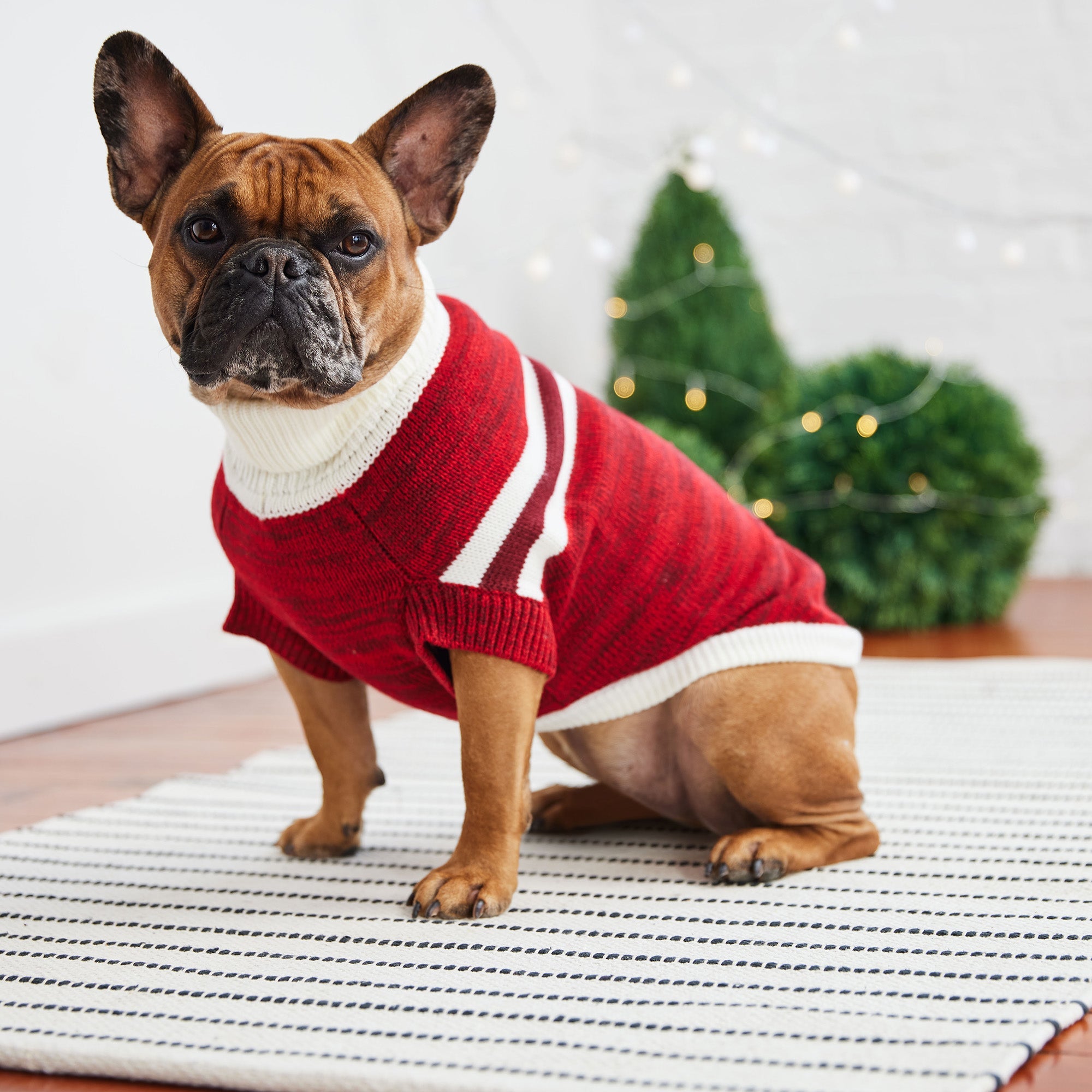 Trekking Sweater - Red