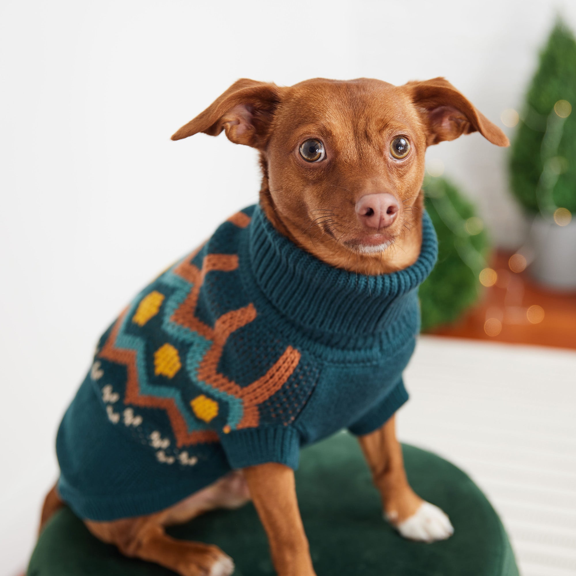 Heritage Sweater - Teal