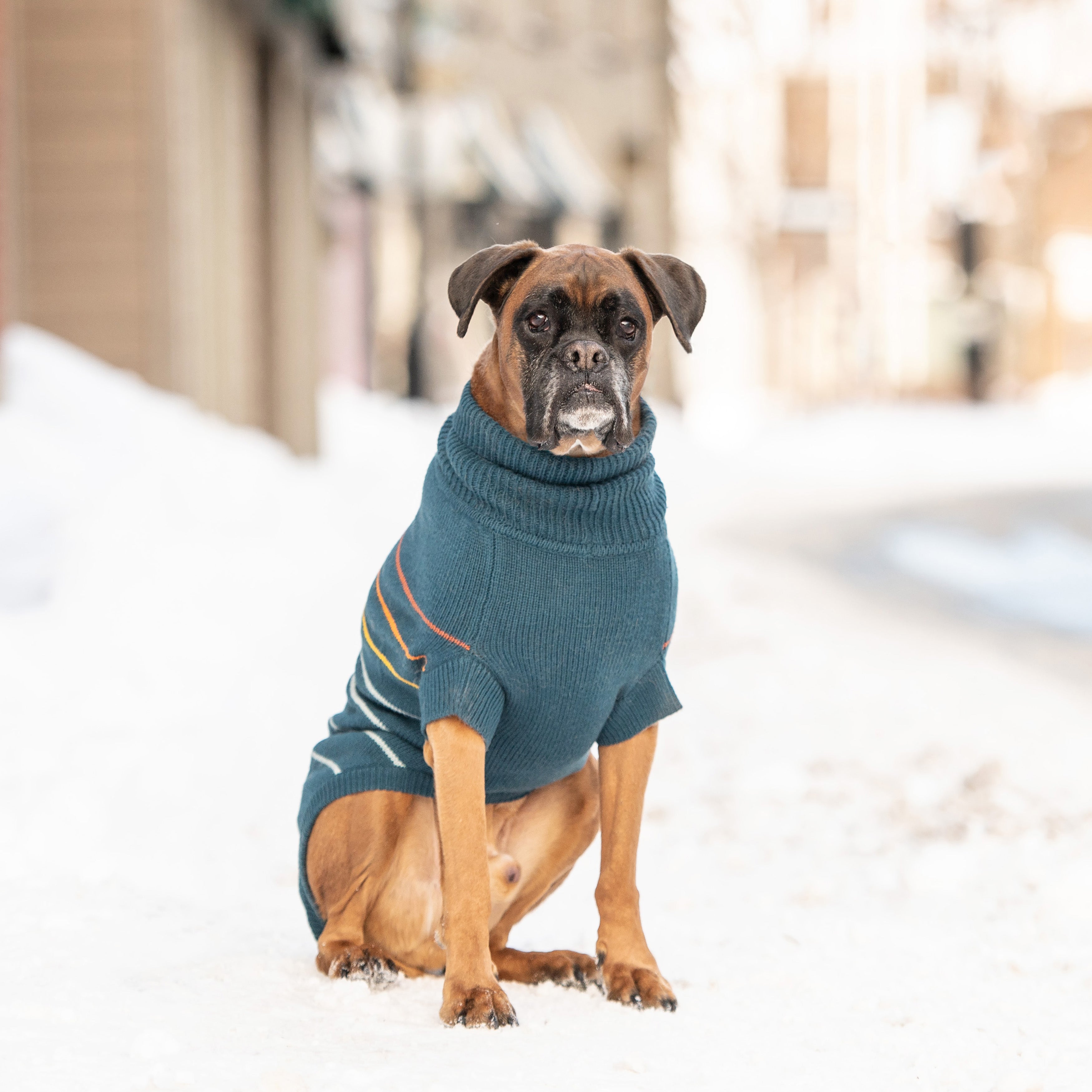 Arctic Sweater - Teal