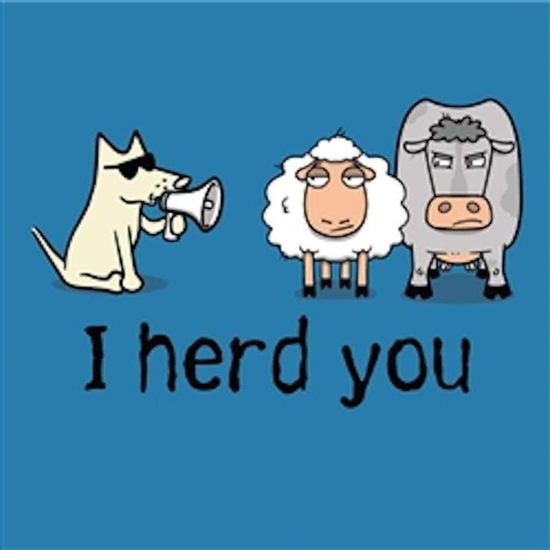 I Herd You - Ladies T-Shirt V-Neck