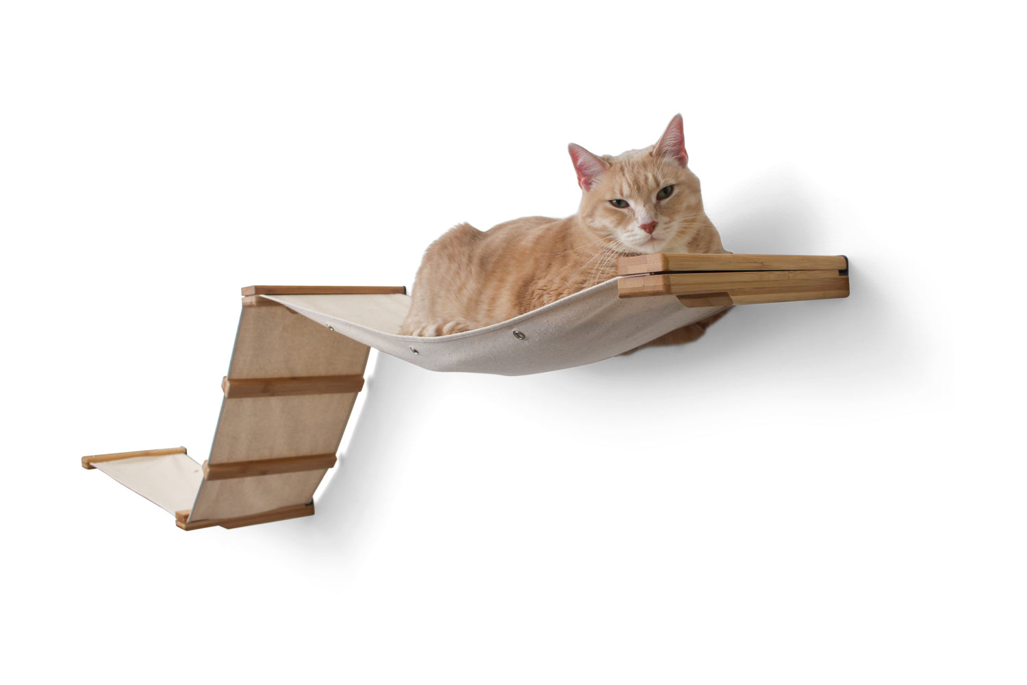 Raceway Hammock - Cat Wall Ramp - by Catastrophic Creations