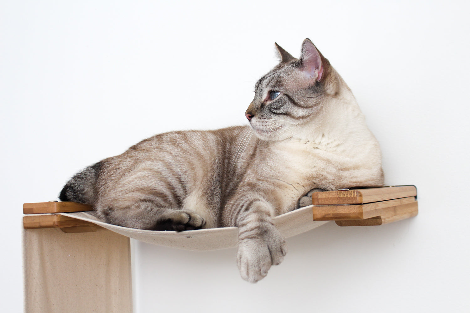 The Double Decker Hanging Cat Hammock Bed - by Catastrophic Creations