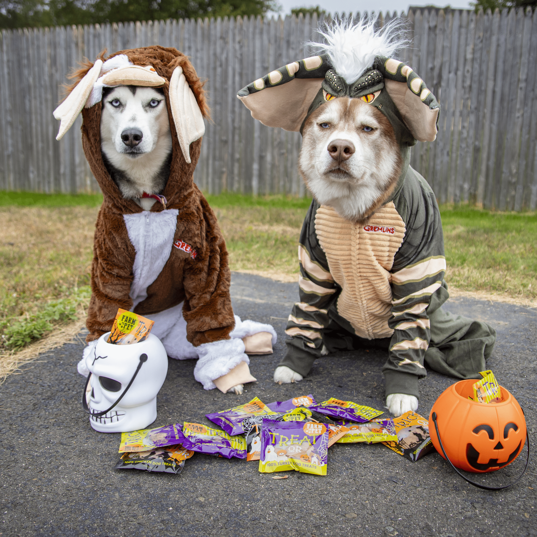 Howl-O-Ween Dog Treat Box