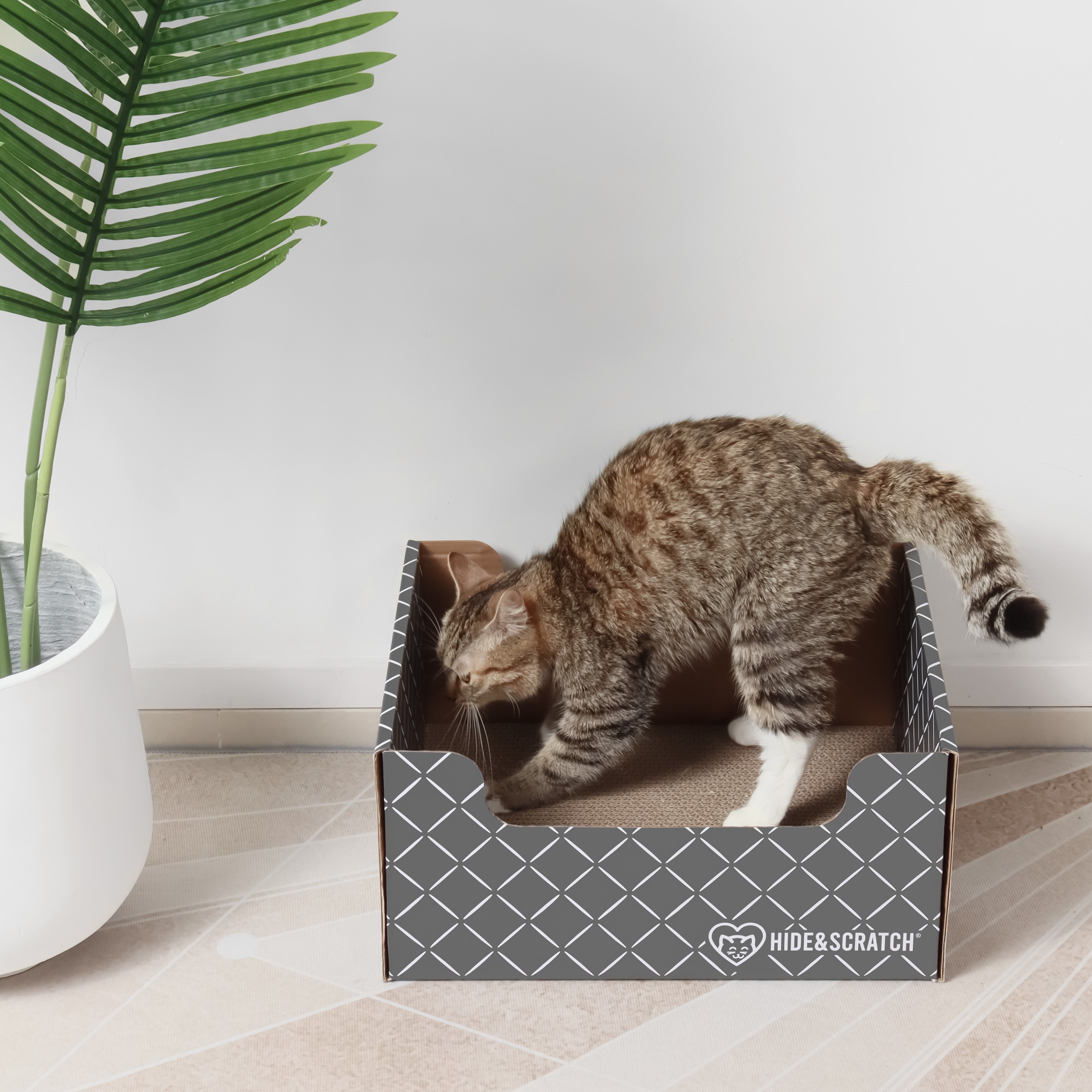 Cat scratcher box best sale