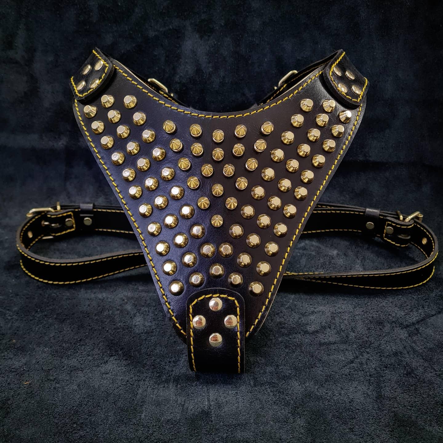 The "Gladiator" harness Gold/Silver