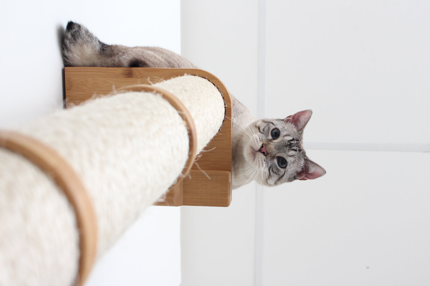 Cat Scratching Pole (Wall-Mounted) - by Catastrophic Creations