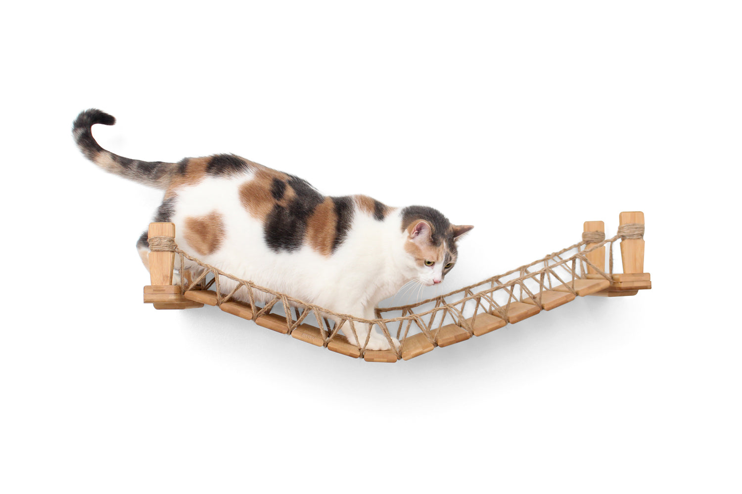 Our Wall-Mounted Cat Bridge - by Catastrophic Creations