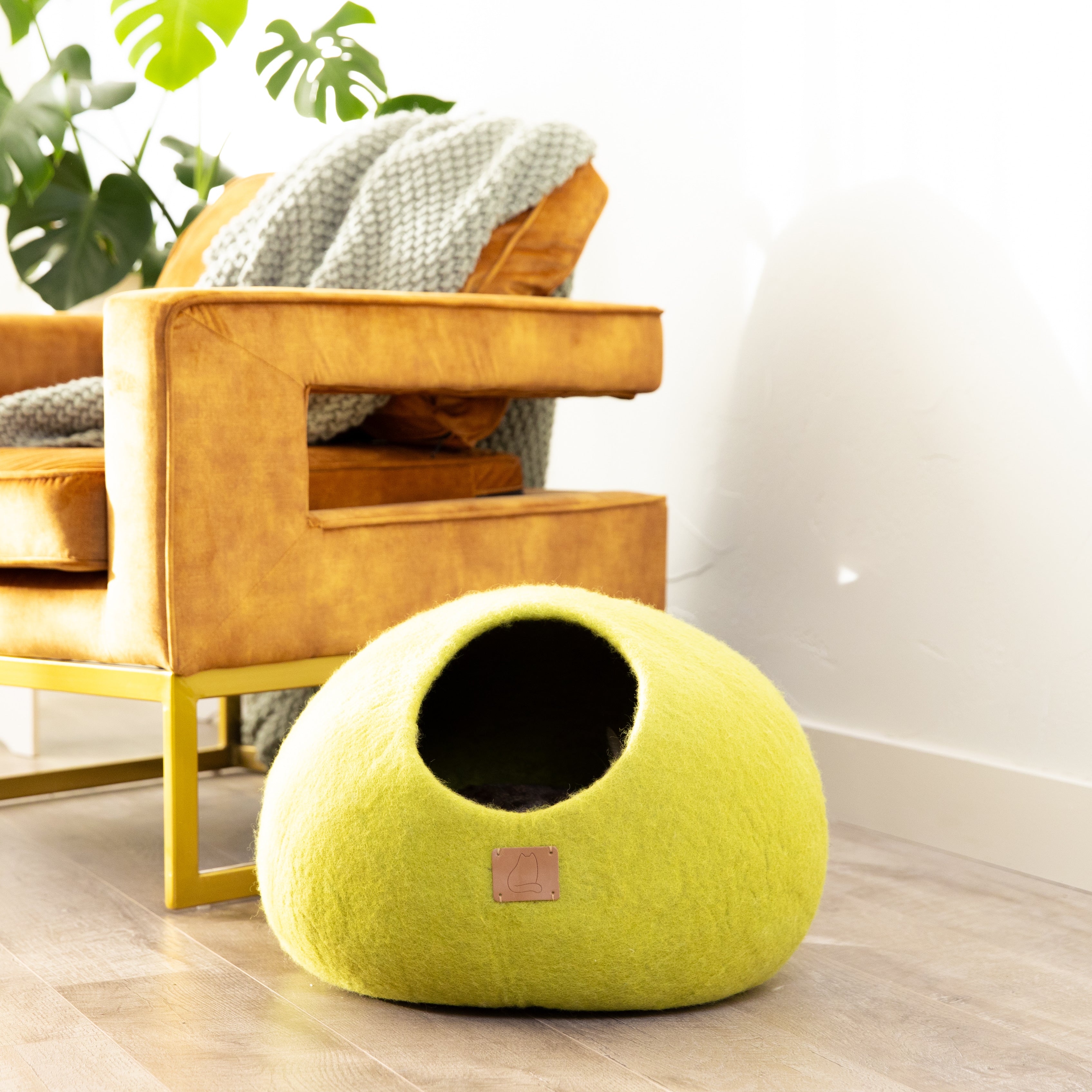 Citrus Green | Round Style Cave