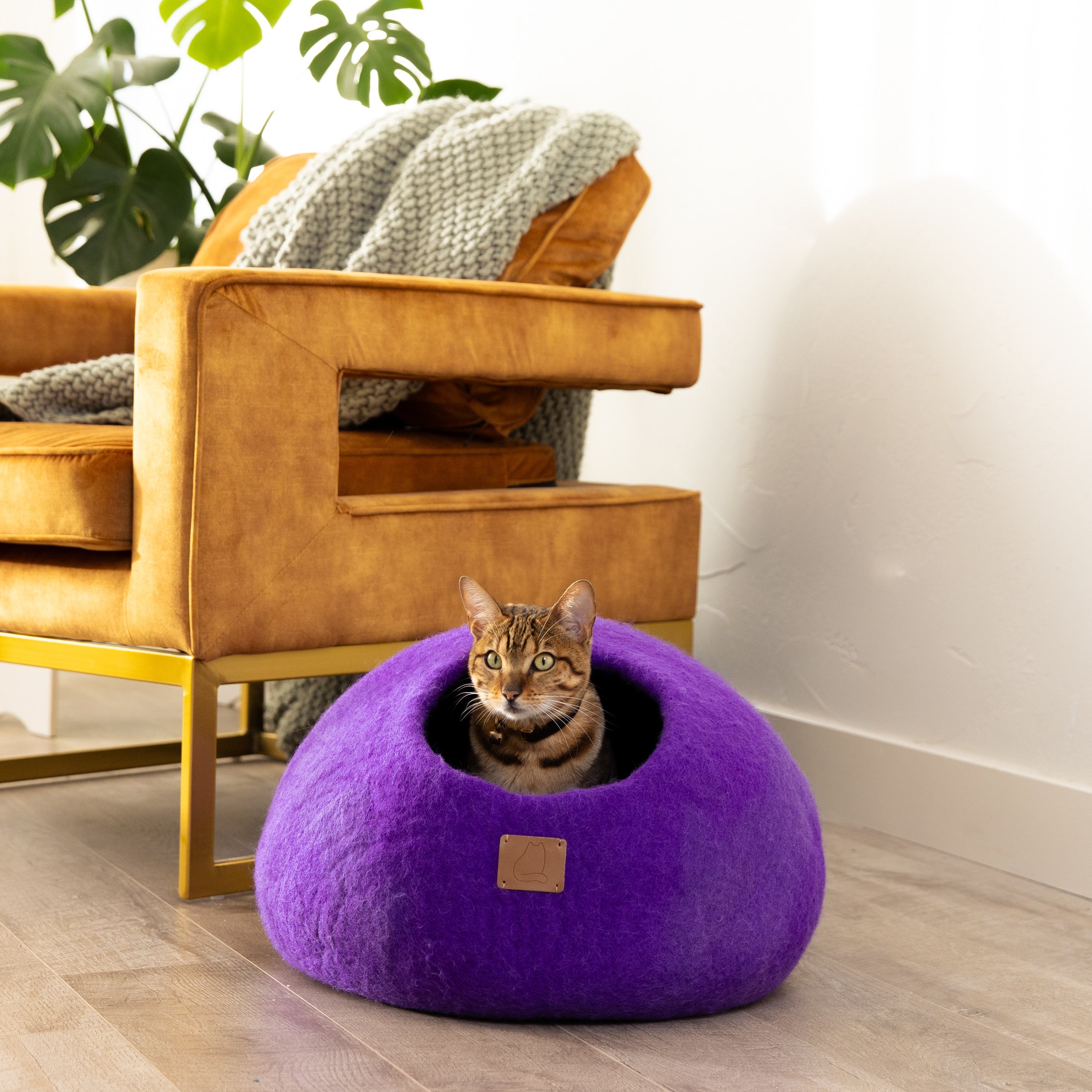 Plum Purple | Round Style Cave