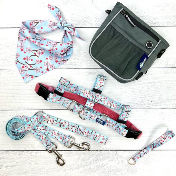 **BUNDLE!** Cherry Blossoms Blue Freedom No-Pull Harness & More!