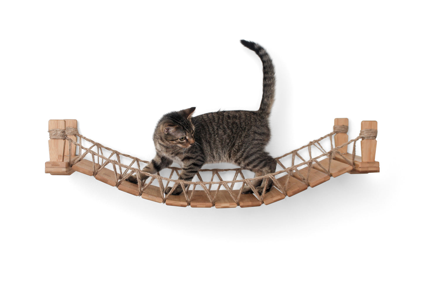 Our Wall-Mounted Cat Bridge - by Catastrophic Creations