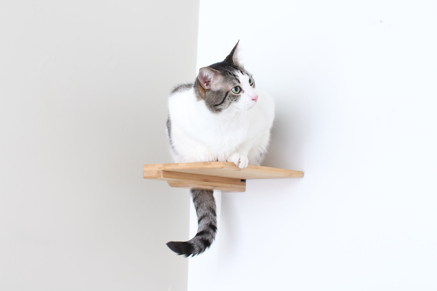 Cat Climbing Shelf - by Catastrophic Creations