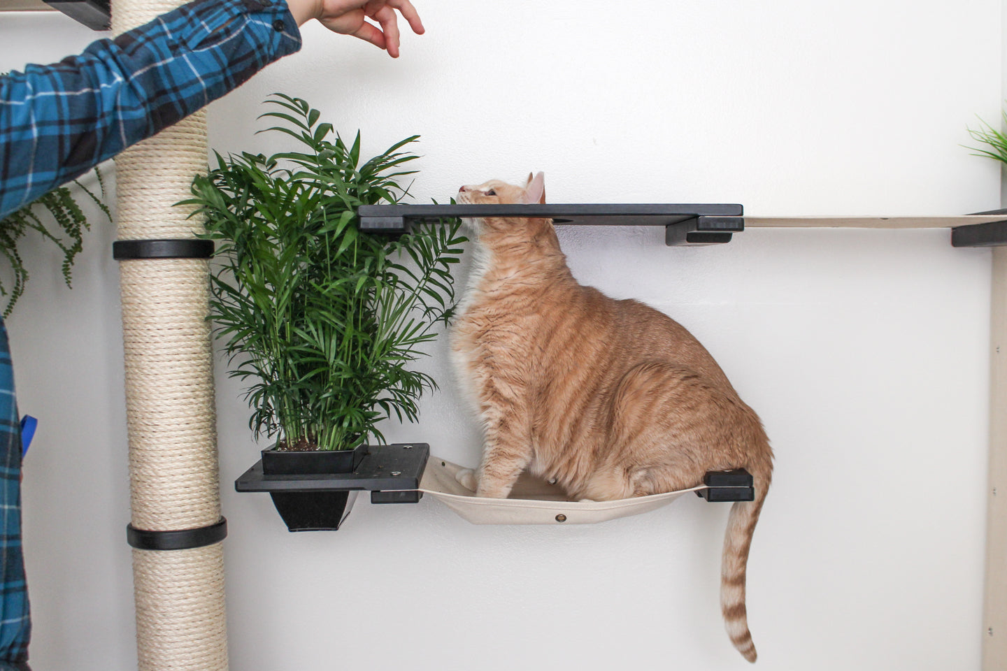 The Gardens Cat Condo (Wall-Mounted Cat Tree) - by Catastrophic Creations