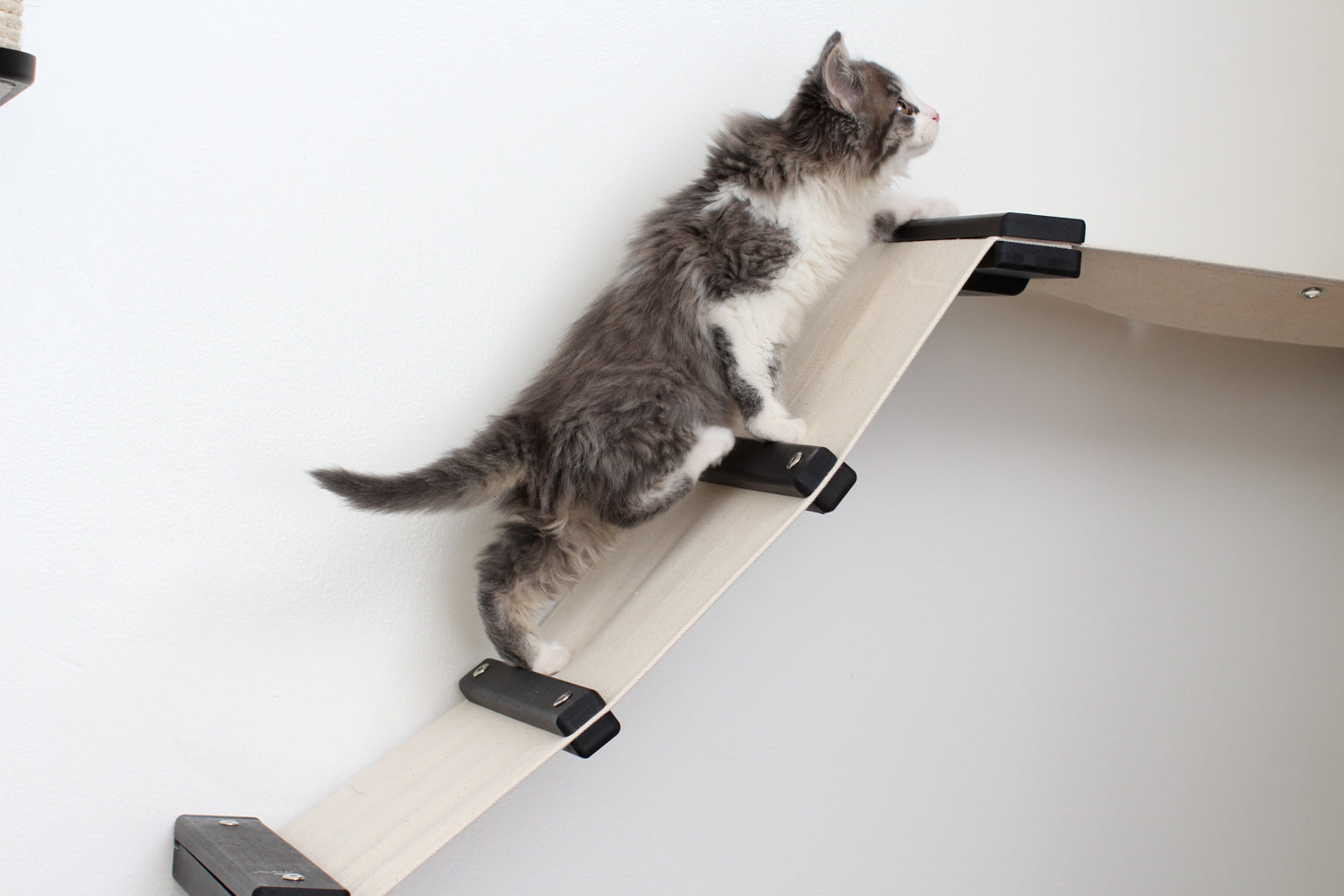 The Lift: Cat Wall Ramp with Hammock Bed - by Catastrophic Creations