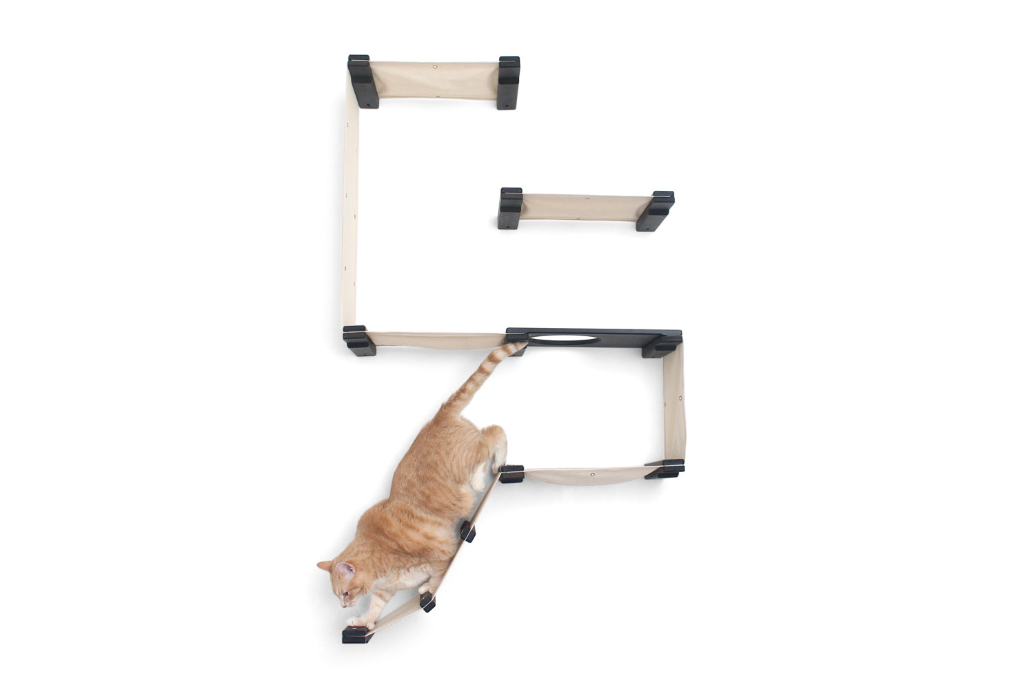 The Deluxe Fort - Modern Cat Condo (Wall Hanging Cat Tree) - by Catastrophic Creations