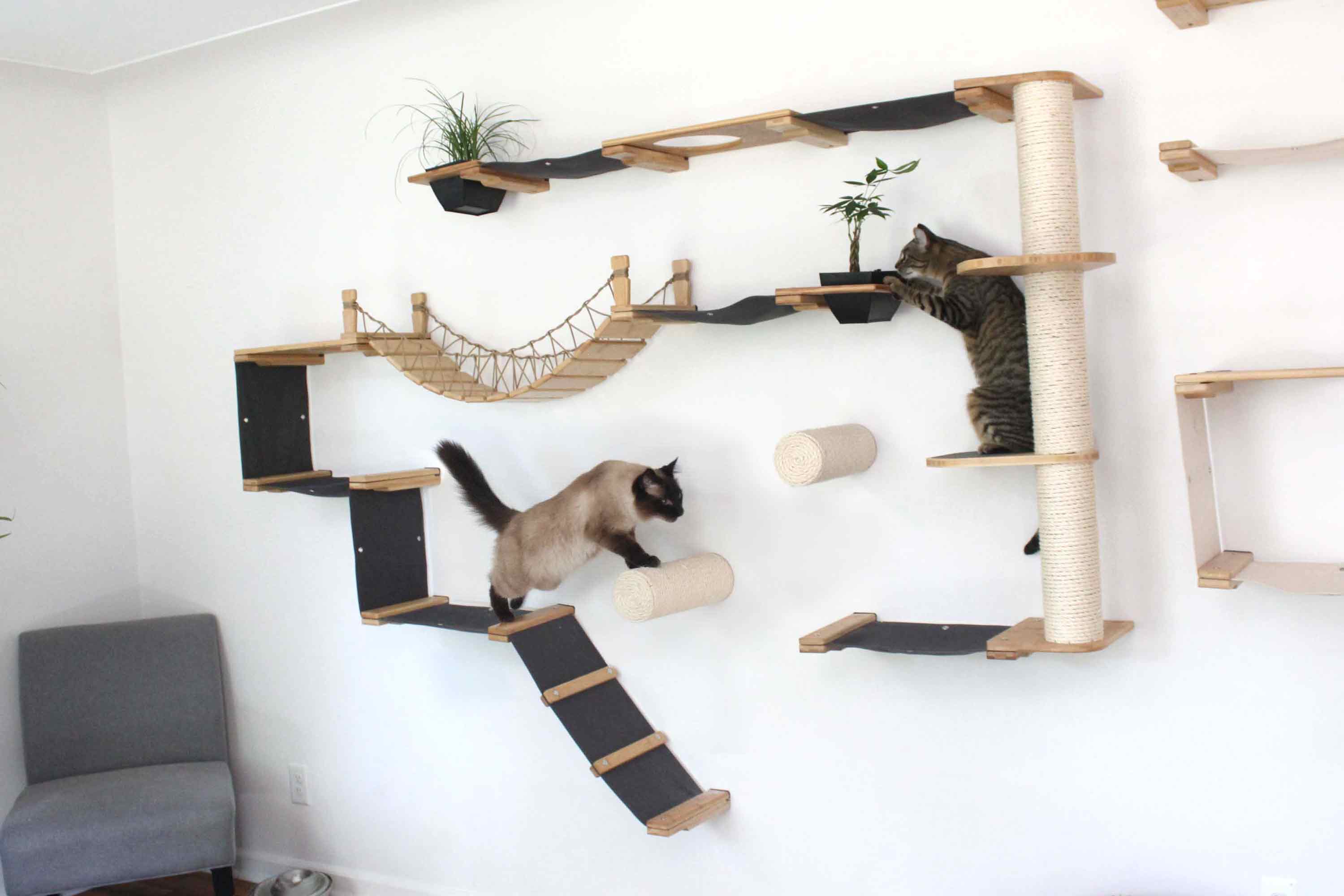 The Juggernaut (Wall-Mounted Cat Tree/Condo) - by Catastrophic Creations