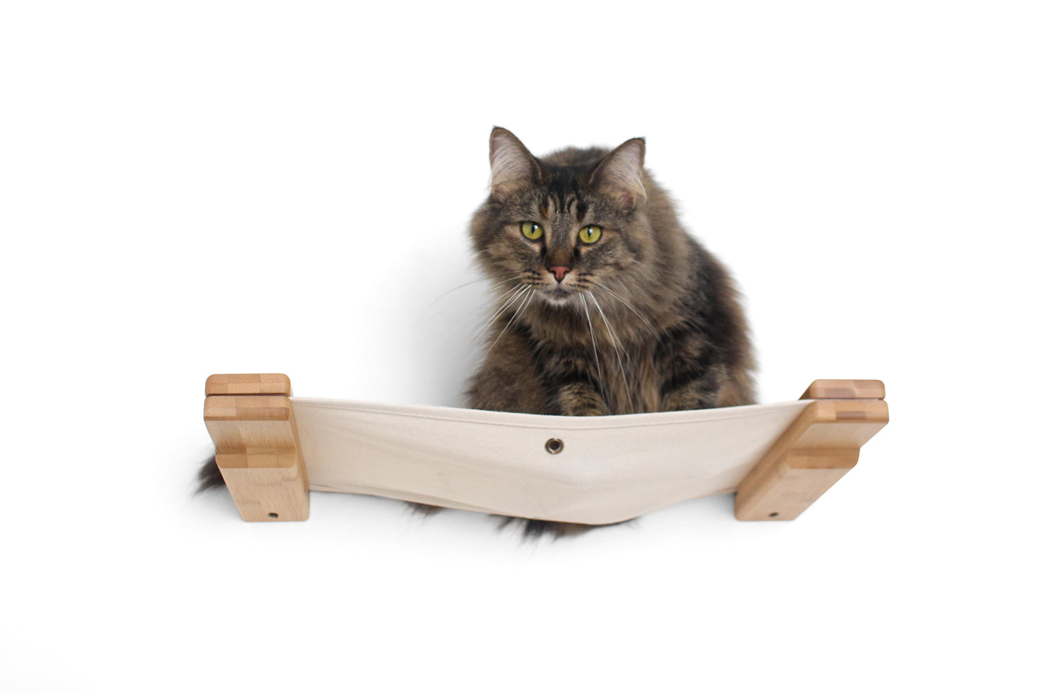 The Roman Cat Condo (Wall Mounted Cat Scratcher) - by Catastrophic Creations