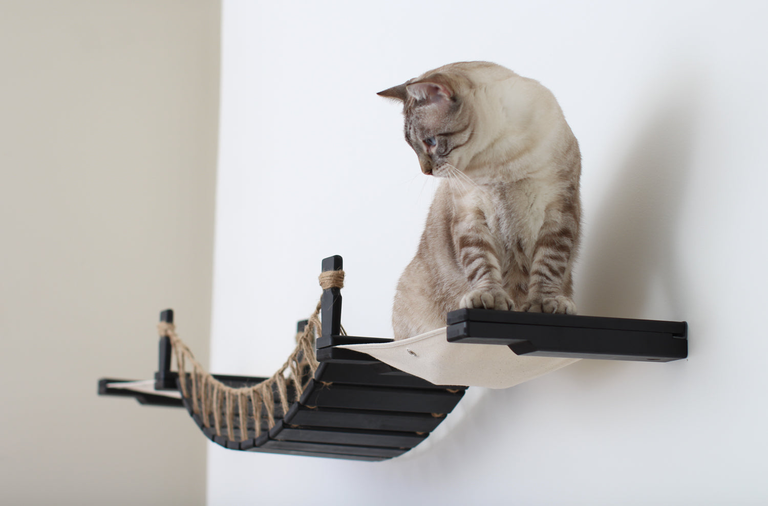 The Cat Bridge Lounge (For Wall) - by Catastrophic Creations