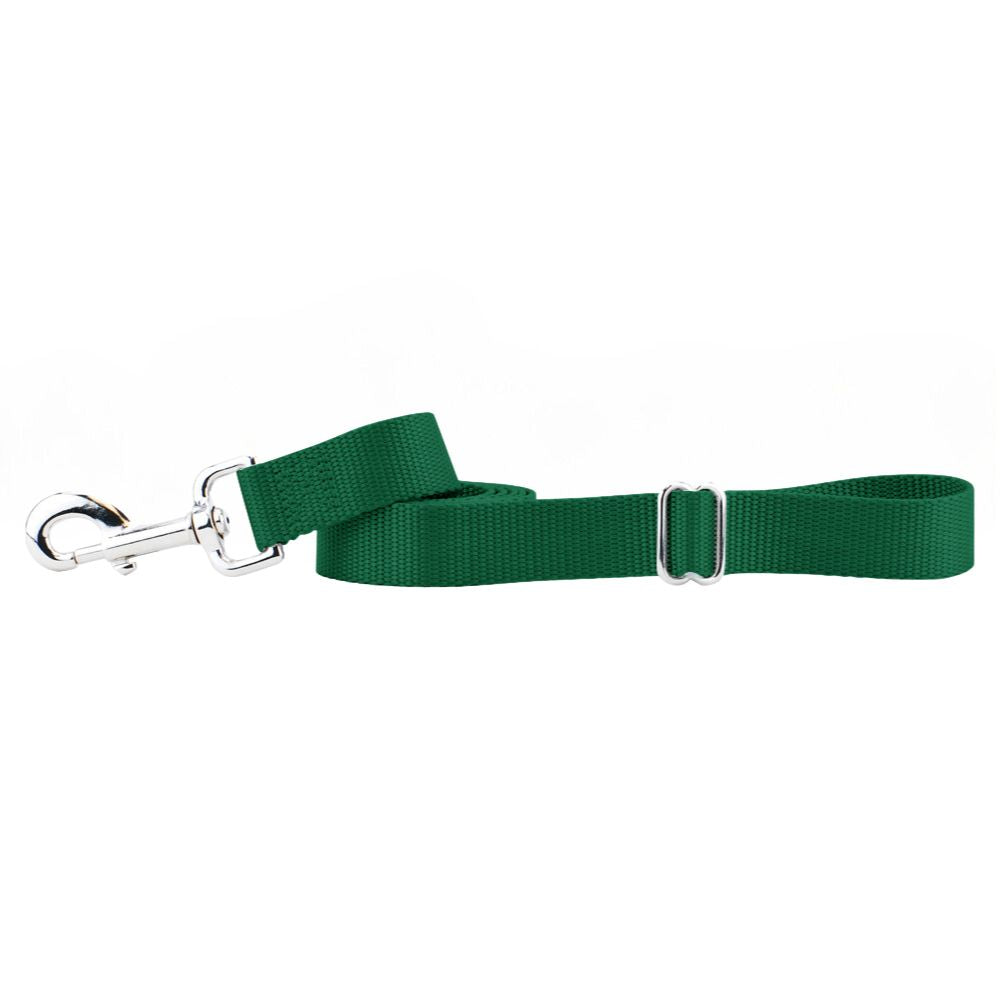 Kelly Green Nylon Dog Leash