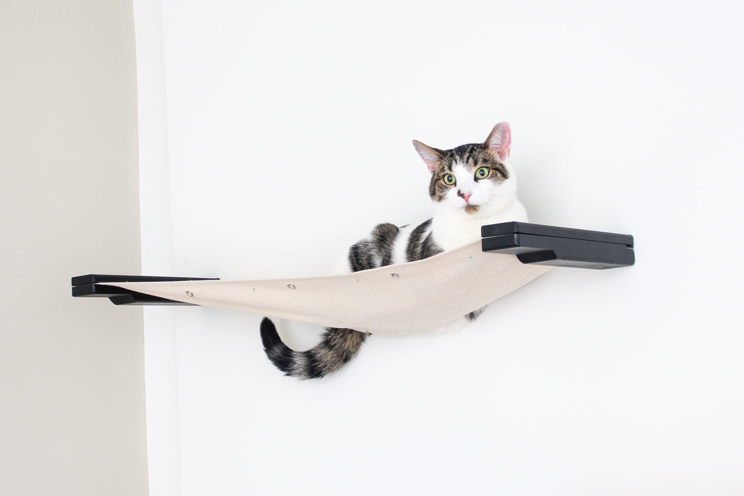 Cat Wall Hammock - Hanging Cat Beds - by Catastrophic Creations