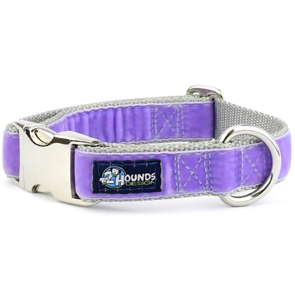 Lavender Velvet Essential Buckle Martingale Dog Collar