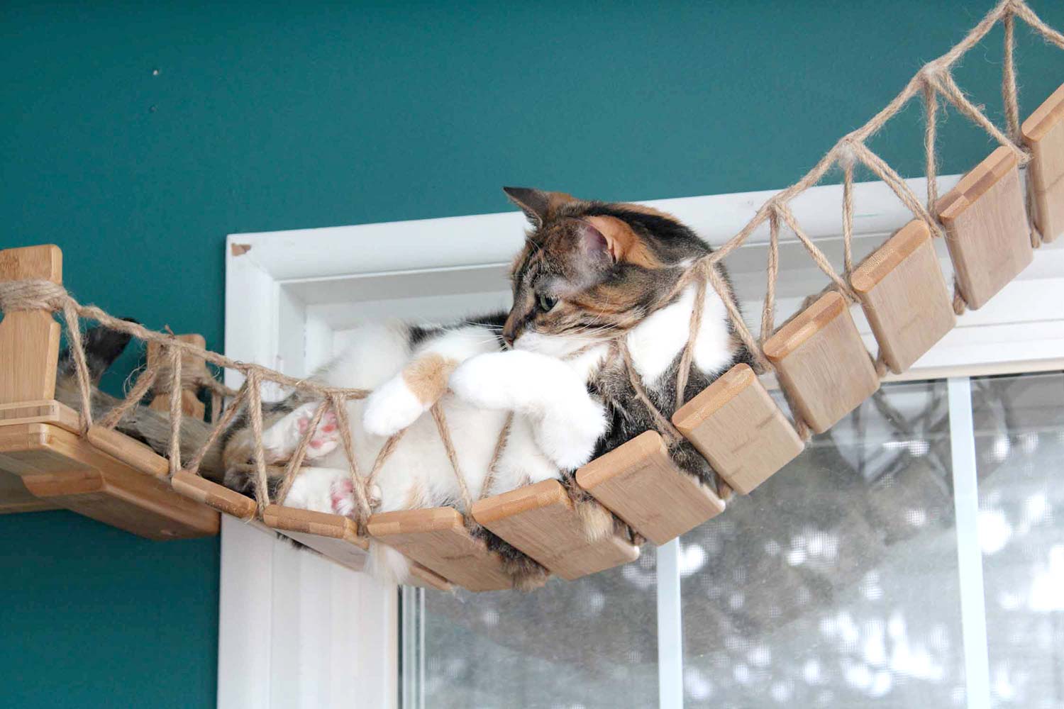 Cat Suspension Bridge - Cat Shelf Set (Wall Mounted) - by Catastrophic Creations