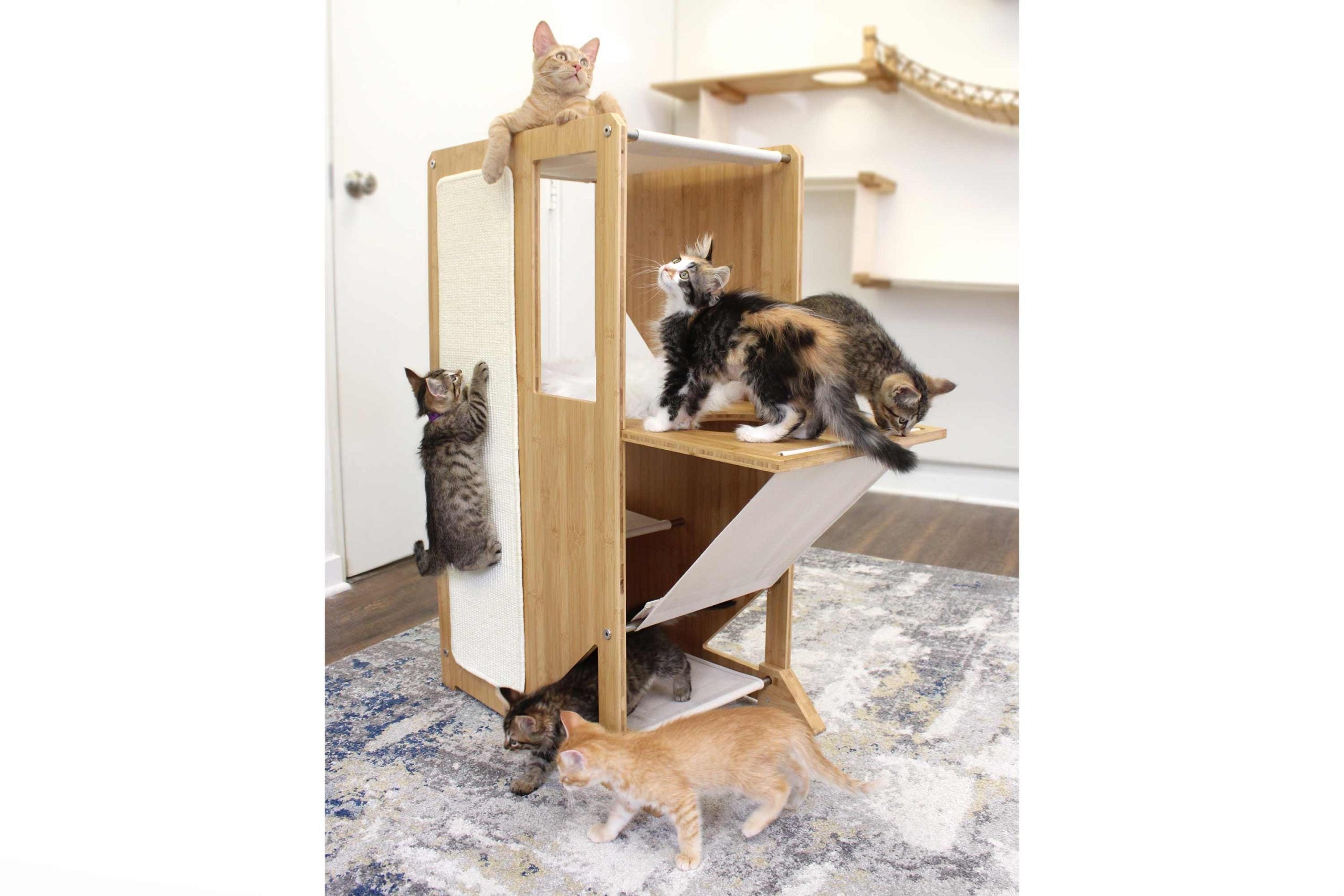 The Overlook - A Cat Tree For Large Cats - by Catastrophic Creations