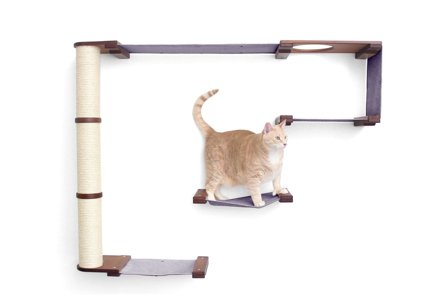 The Climb - Cat Condo (Wall-Mounted) - by Catastrophic Creations