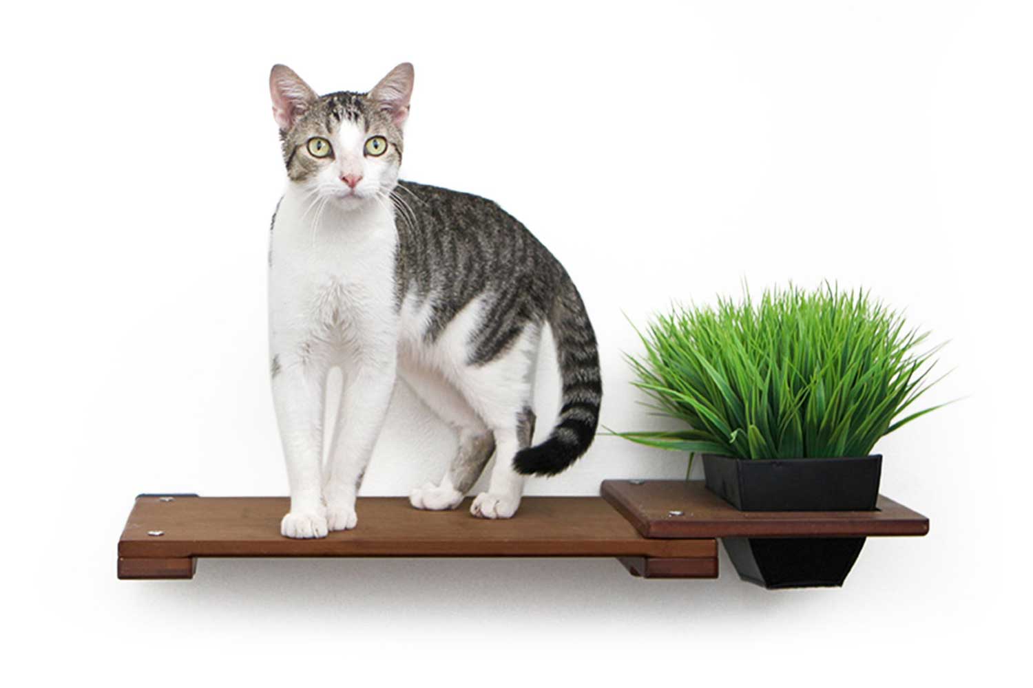 Planter Cat Shelf - for Cat Safe Plants - by Catastrophic Creations