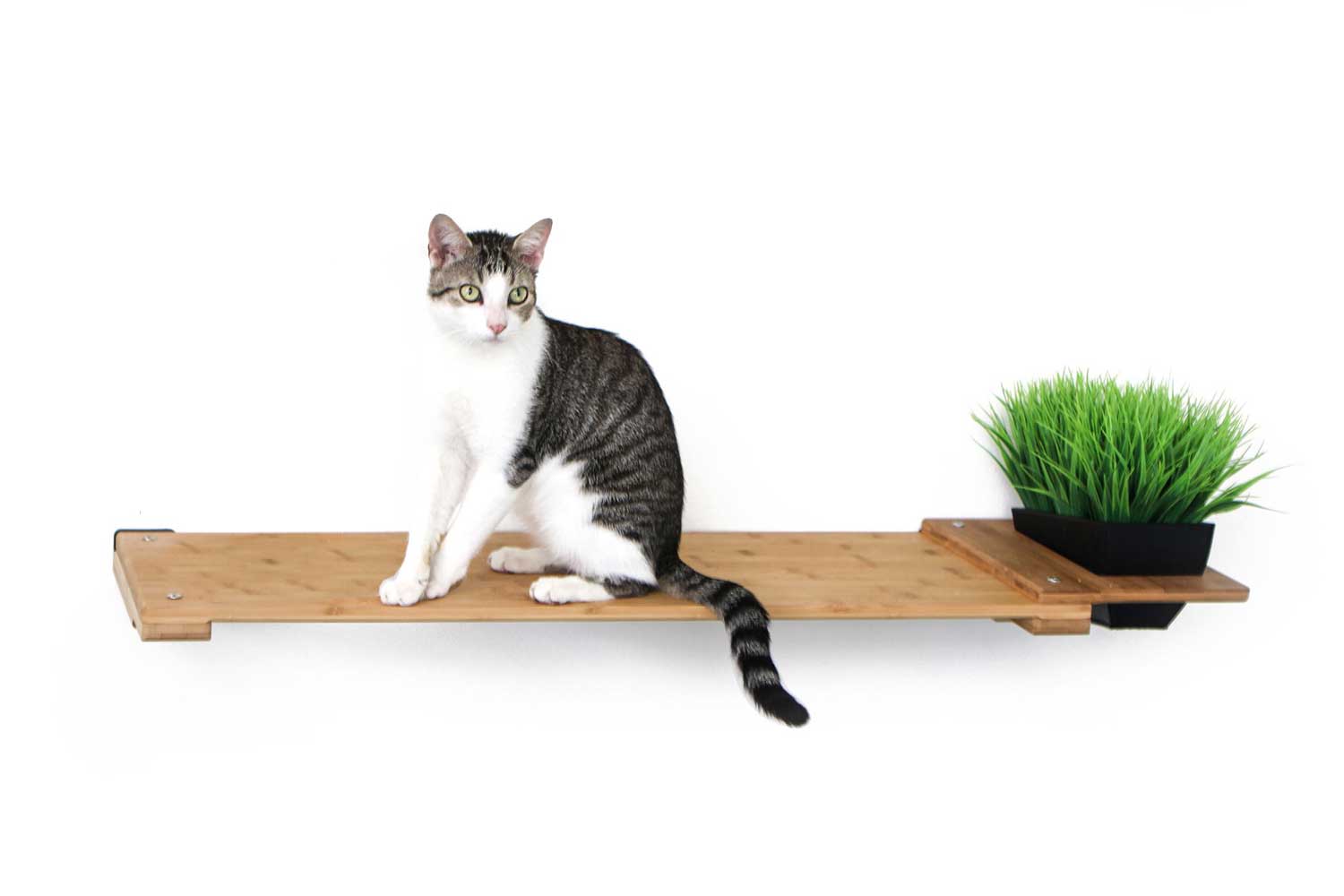 Planter Cat Shelf - for Cat Safe Plants - by Catastrophic Creations