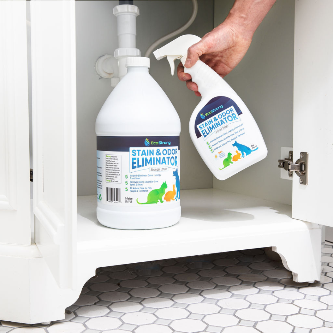 Pet Stain and Odor Eliminator