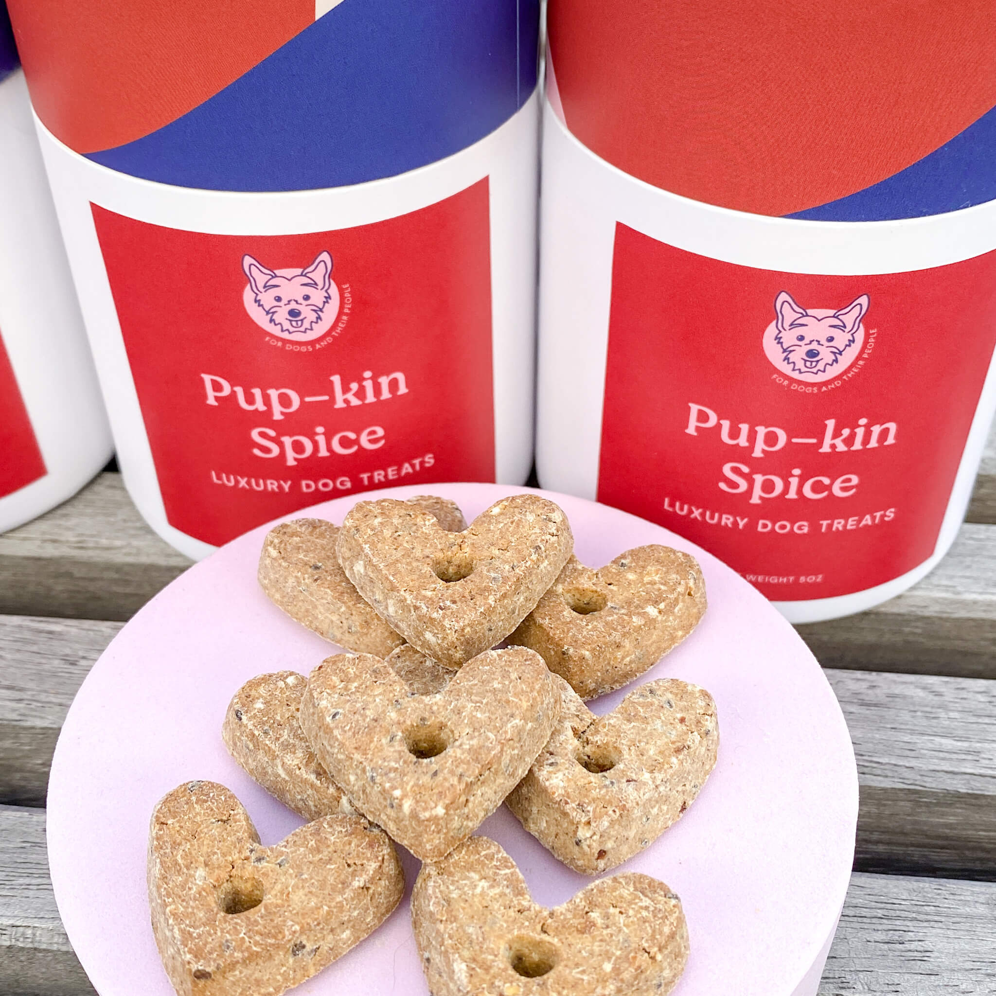 Pup-kin Spice Dog Treats