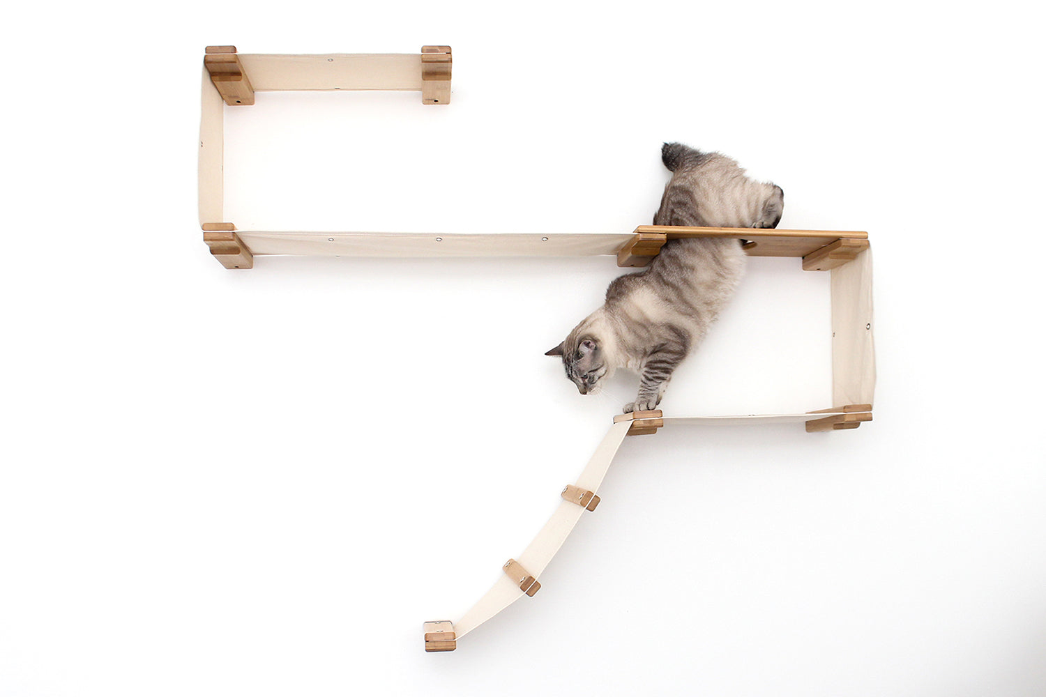 The Play Cat Condo - A Wall-Mounted Cat Tree - by Catastrophic Creations