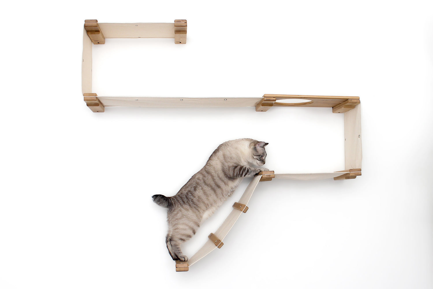 The Play Cat Condo - A Wall-Mounted Cat Tree - by Catastrophic Creations