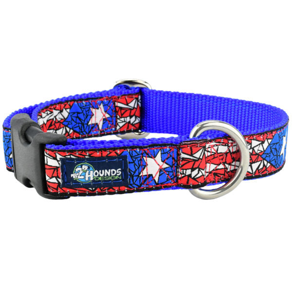 1″ Puerto Rico Essential Martingale Dog Collar