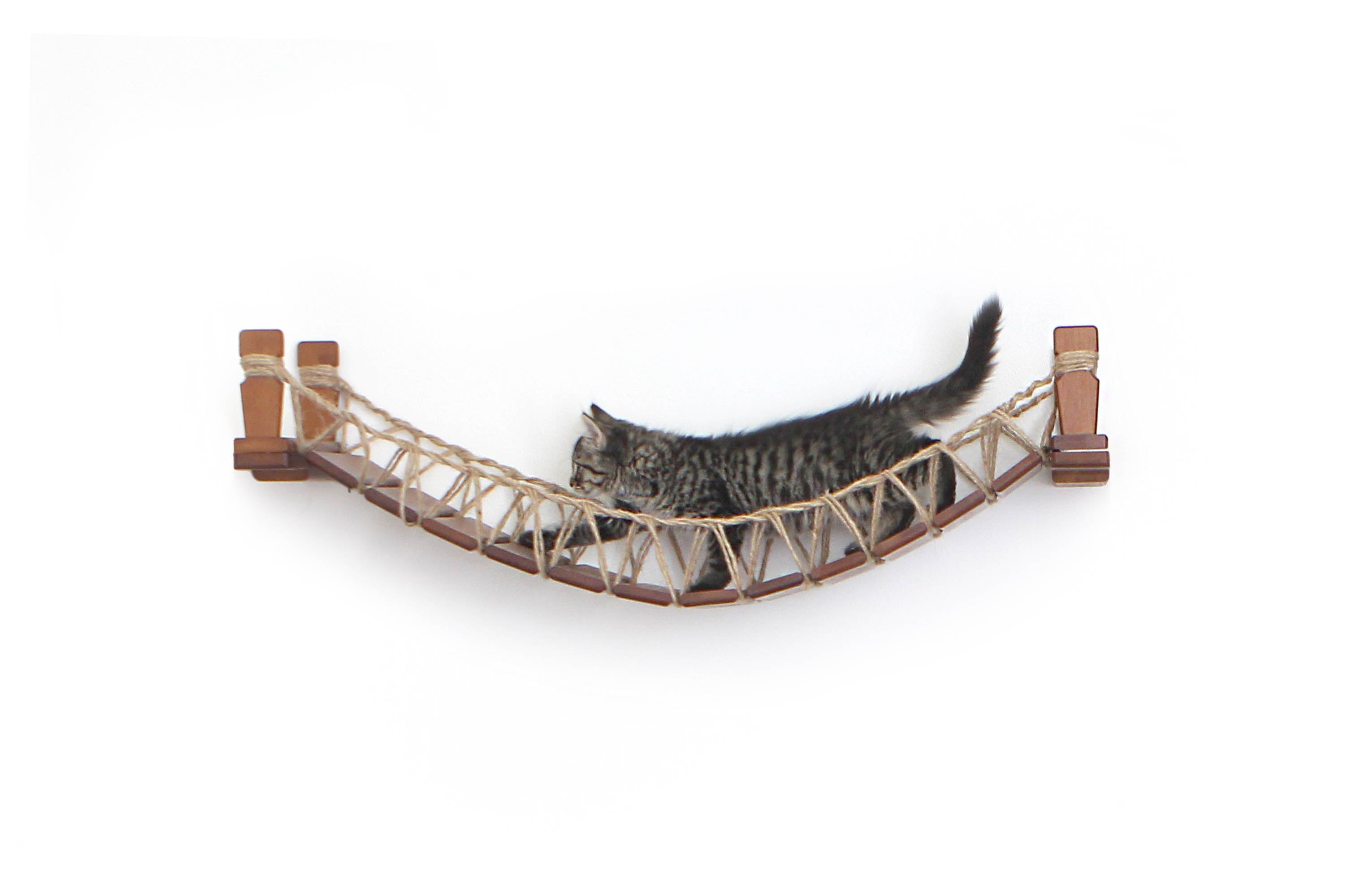 Our Wall-Mounted Cat Bridge - by Catastrophic Creations