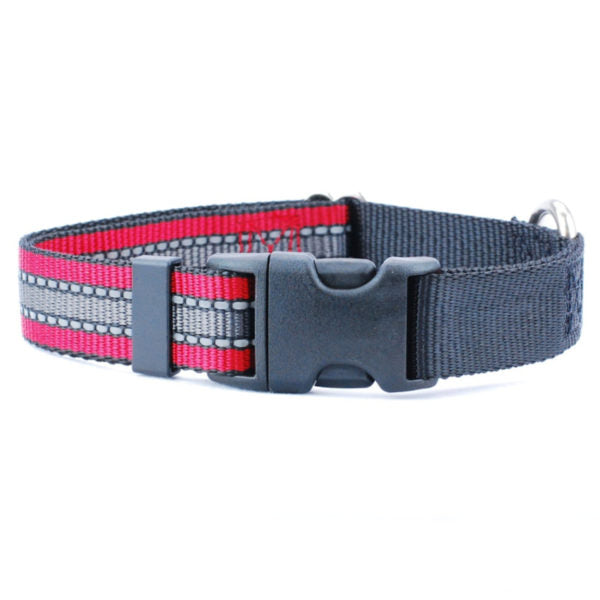 5/8″ and 1″ Reflective Red Nylon Dog Collar